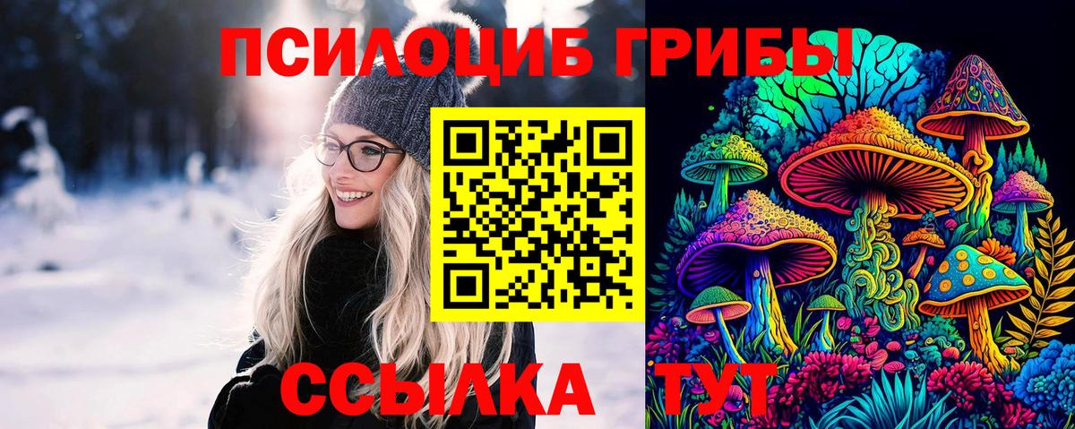 Галлюциногенные грибы прущие грибы Усть-Джегута