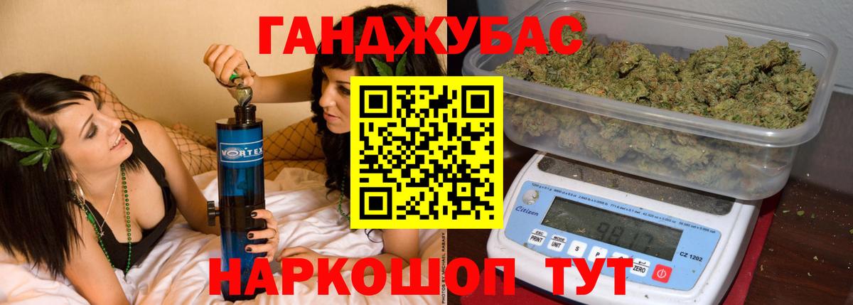 Конопля сатива Усть-Джегута